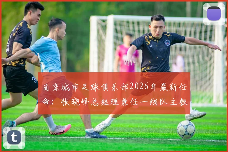 南京城市足球俱乐部2026年最新任命：张晓峰总经理兼任一线队主教练，球队备战新赛季迎来关键调整