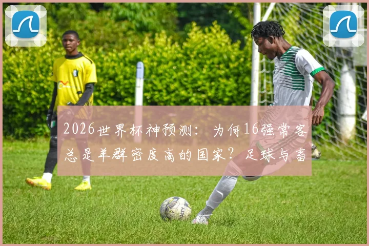 2026世界杯神预测:为何16强常客总是羊群密度高的国家?足球与畜牧业的隐秘关联深度解读