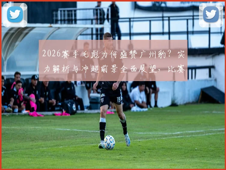 2026赛季毛彪为何盛赞广州豹？实力解析与冲超前景全面展望，比赛一切皆有可能